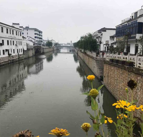 上黄镇 全网资源