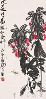 凤仙草虫