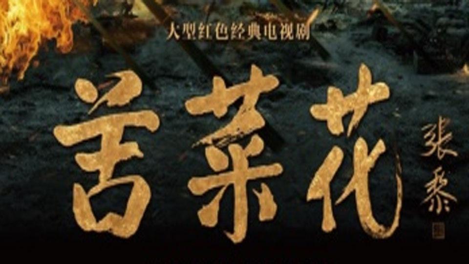 苦菜花：剧情丰富，制作精良