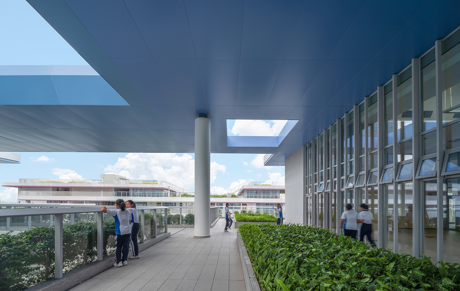 深圳高级中学(集团)北校区