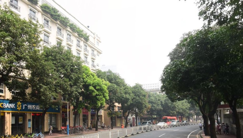 东山街道