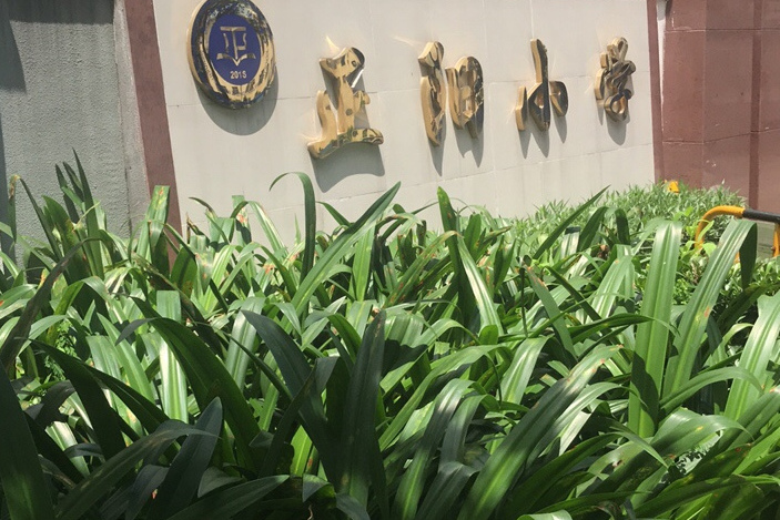 深圳市坪山新区正阳小学