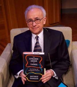 安东尼奥·达马西奥