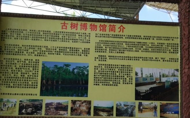 东莞市观音山古树博物馆