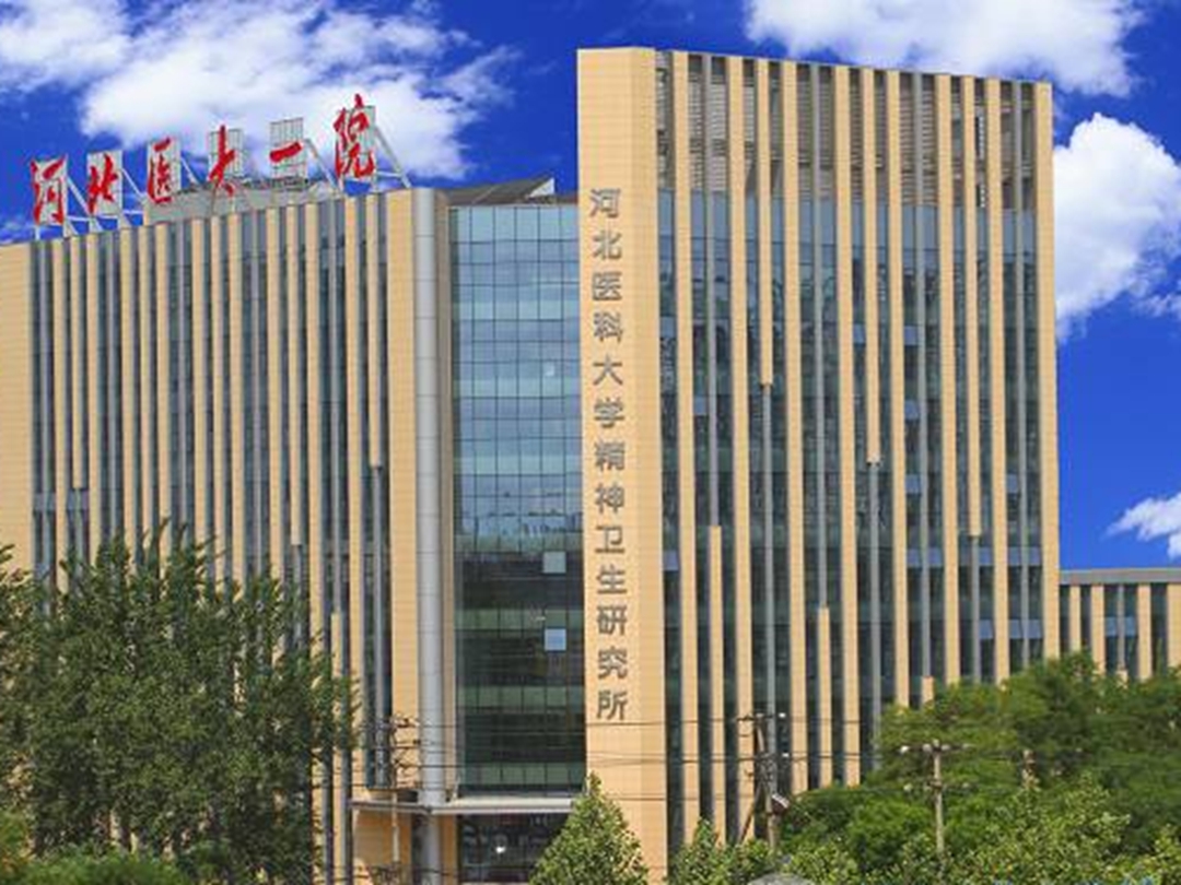 包含河北医科大学第一医院（河北医科大学第一临床医学院）黄牛随时帮患者挂号的词条