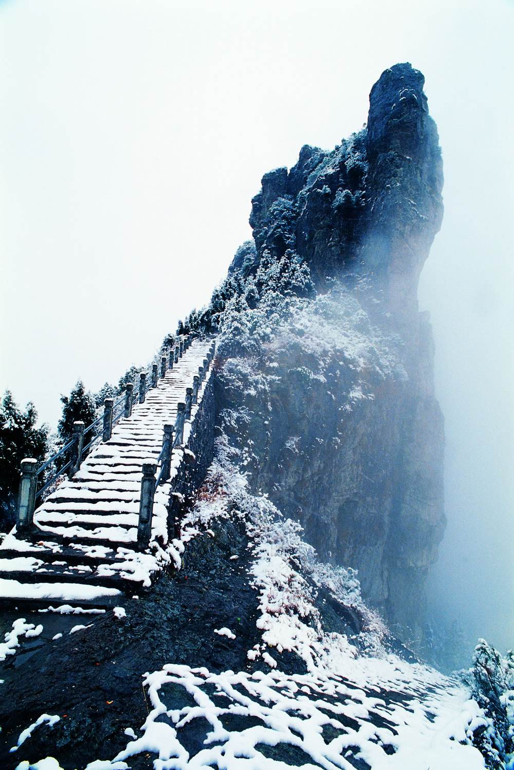 杨八洞