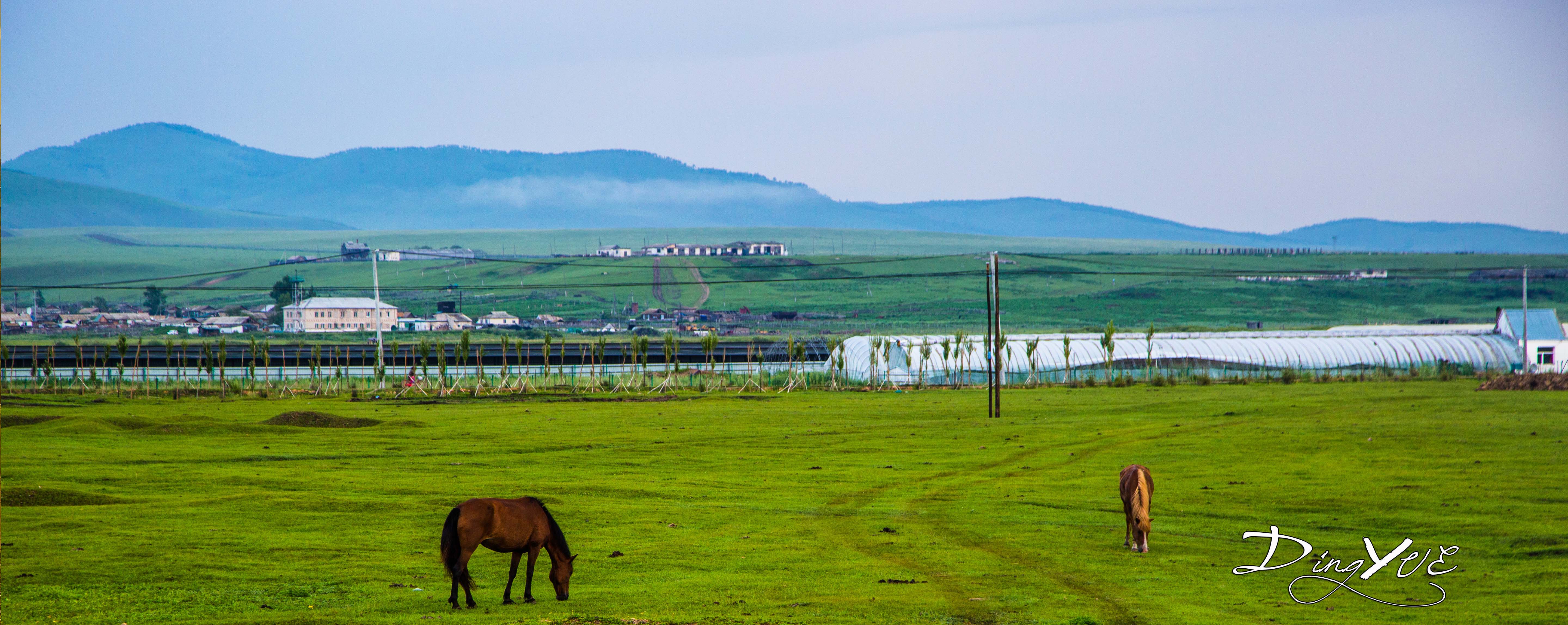 建制,实为口岸)是 a target="_blank" href="/item/蒙兀室韦/4523580"