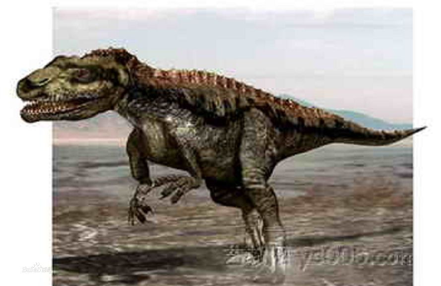  p>鳄龙科是离龙目最常见的一科,也是这群生物的