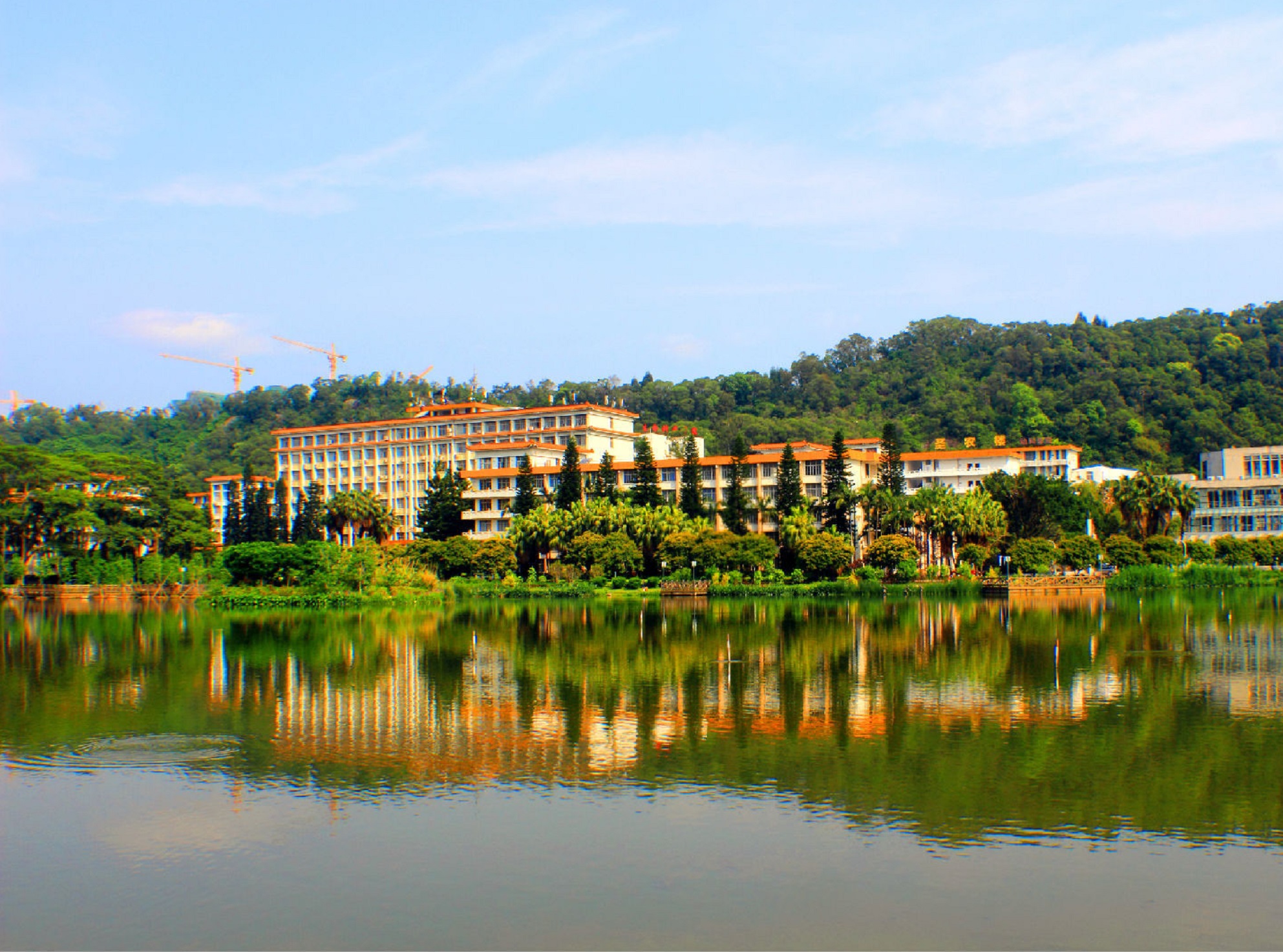 福建农林大学
