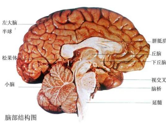 运动区_百度百科