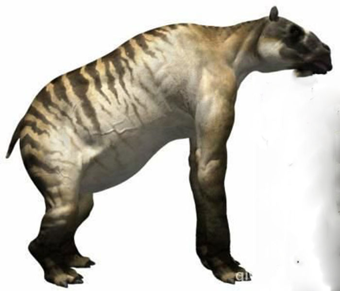  p>砂犷兽是爪兽科的一种动物.