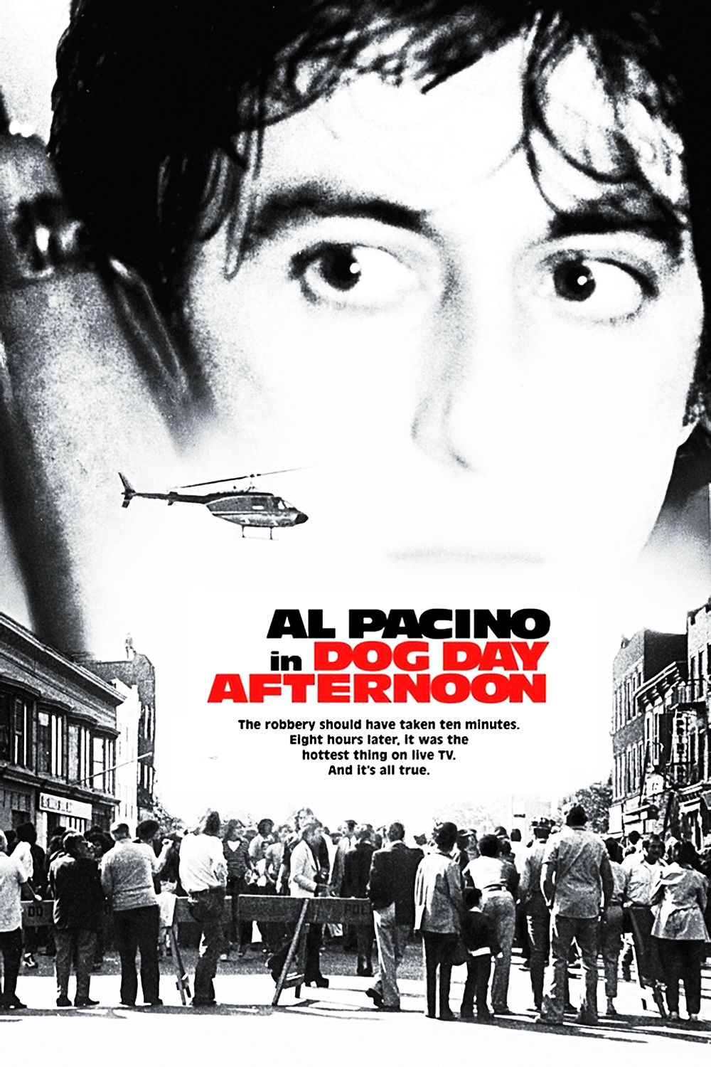 热天午后dogdayafternoon(1975)