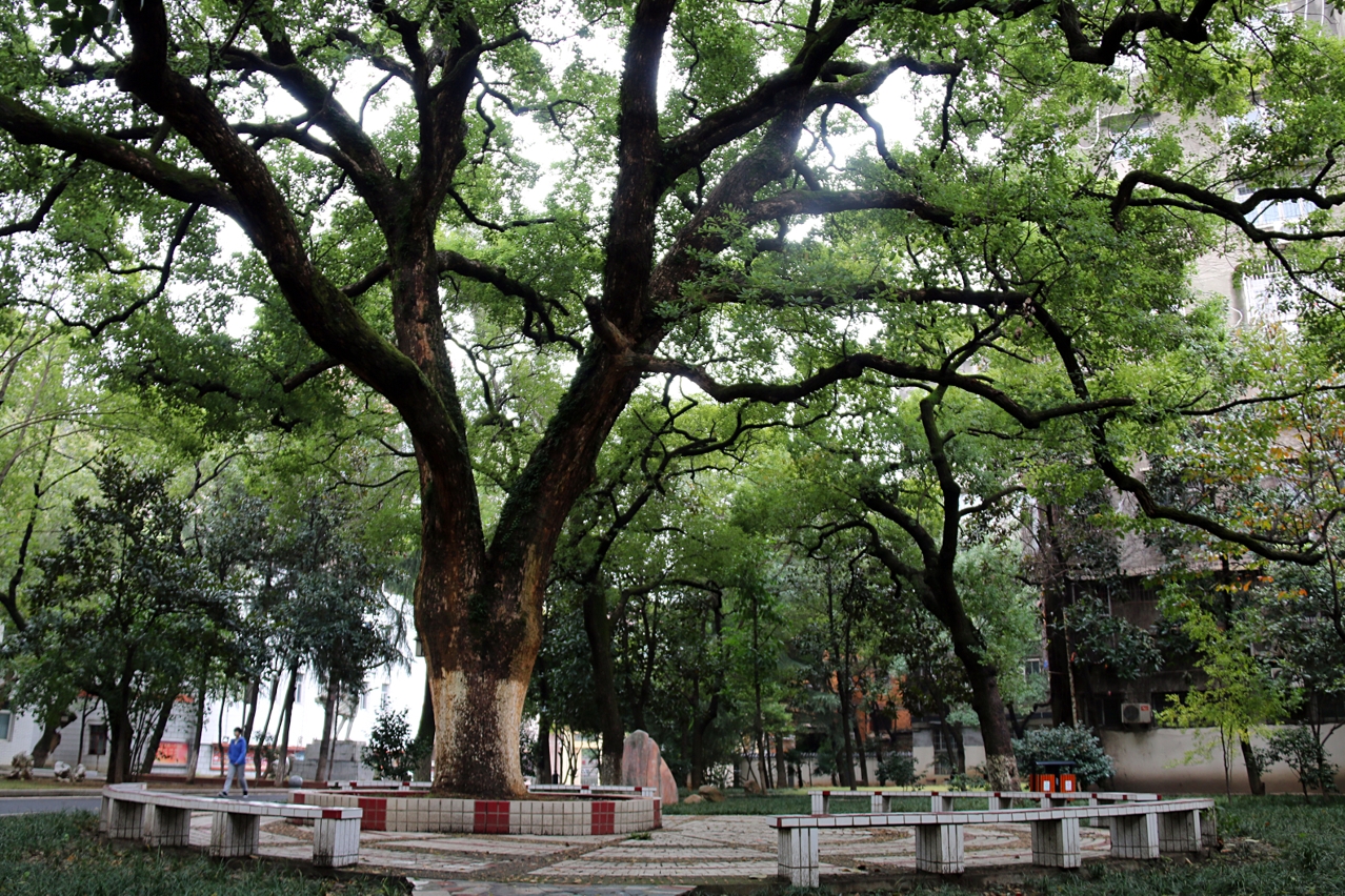  p>南昌市第十中学(no.