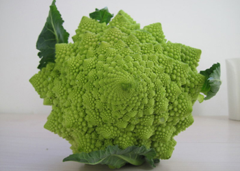 甘蓝提取物