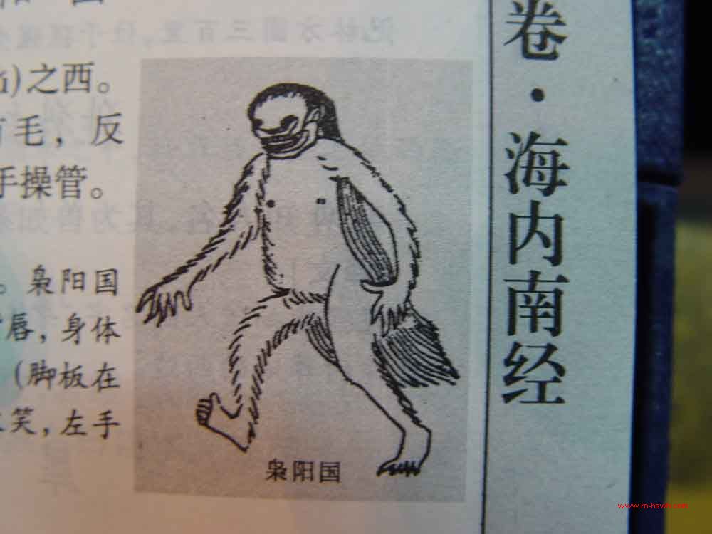 枭阳国在北朐之西,其为人人面长唇,黑身有毛,反踵,见人则笑,左手补苘