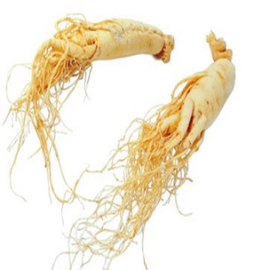 延边雄风人参产业化基地有限公司