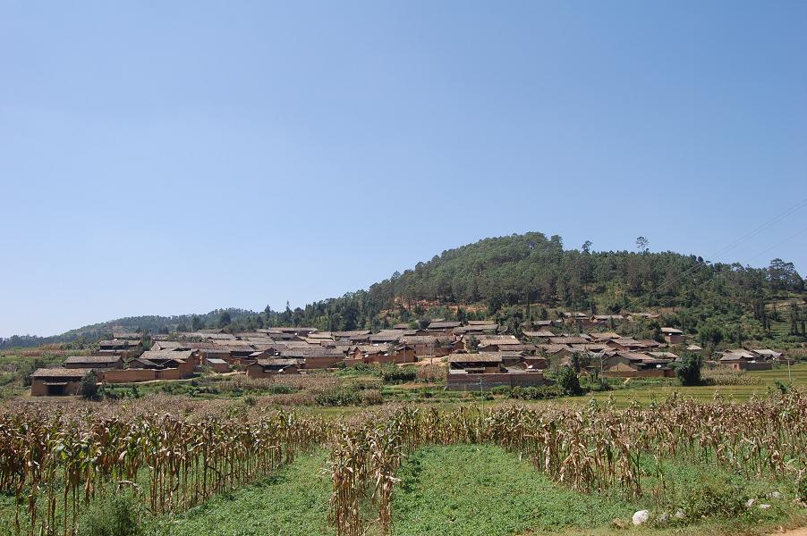 id="gn7aunkls0">小各大村隶属云南省文山壮族苗族自治州砚山县阿猛镇