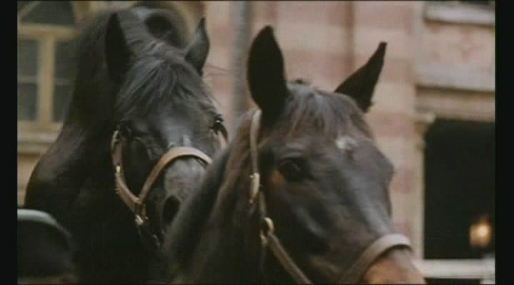 1975年法国电影野兽