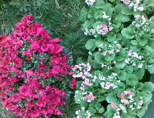 张庄公园位于安徽省 a target="_blank" href="/item/阜阳市">阜阳市 