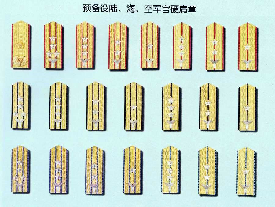 被授予相应的预备役军官军衔,并经兵役机关登记的预备役人员