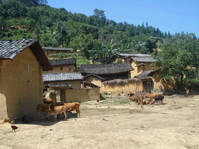  p>新挖聋自然村,隶属于云南省文山壮族苗族自治州广南县 a target="