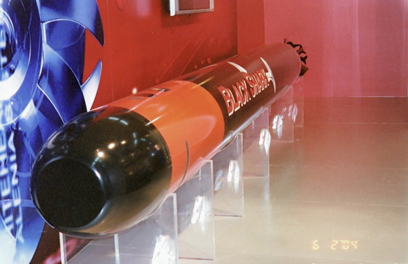  p>黑鲨鱼雷配有装药250公斤的六边形高爆战斗部