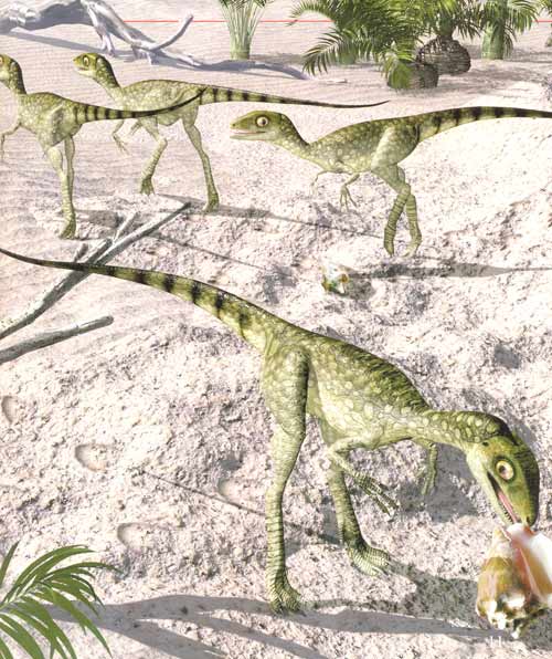  p>棒爪龙(学名scipionyx)又译为思倍欧龙,是 a href="#" data-lemma