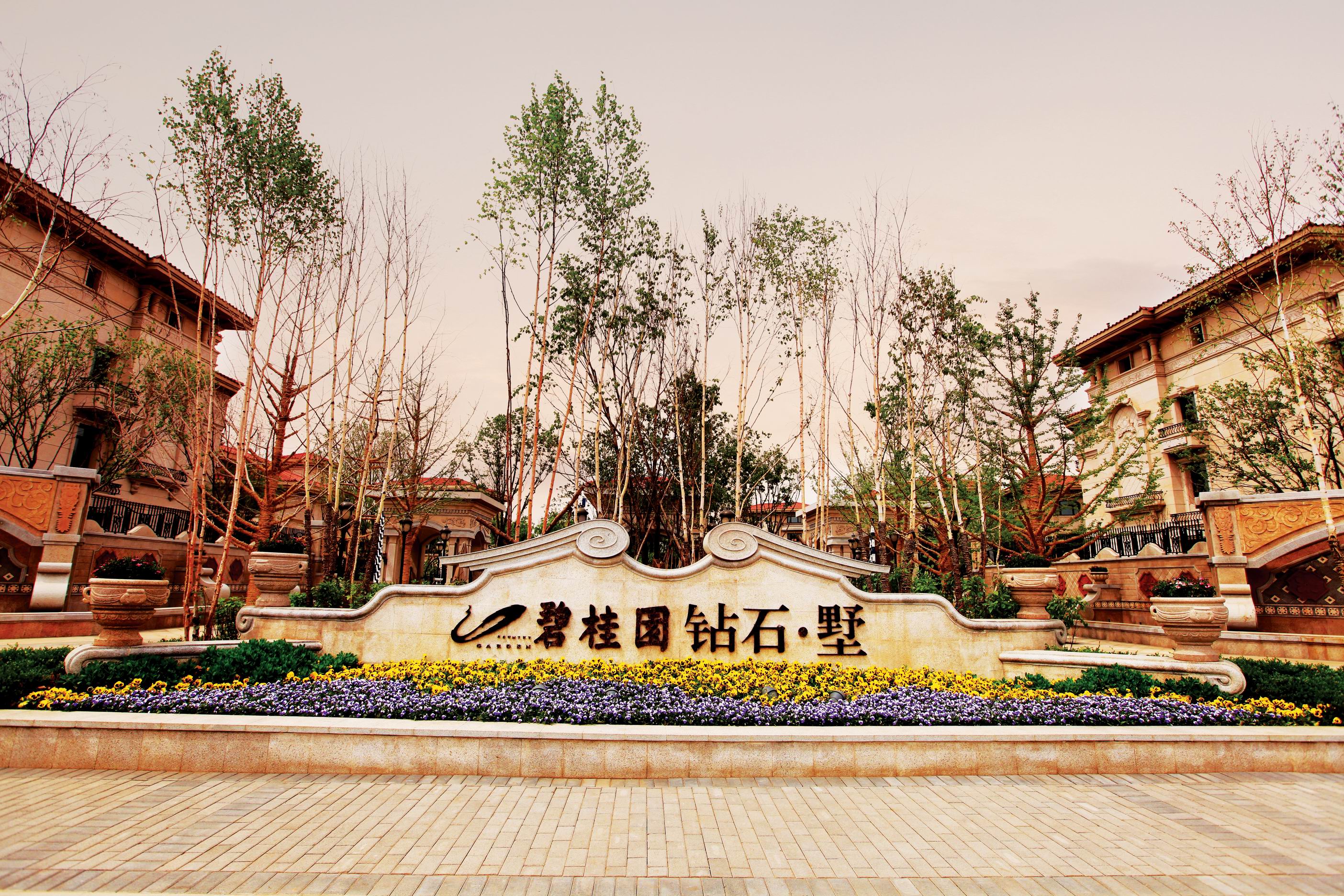 沈阳碧桂园银河城