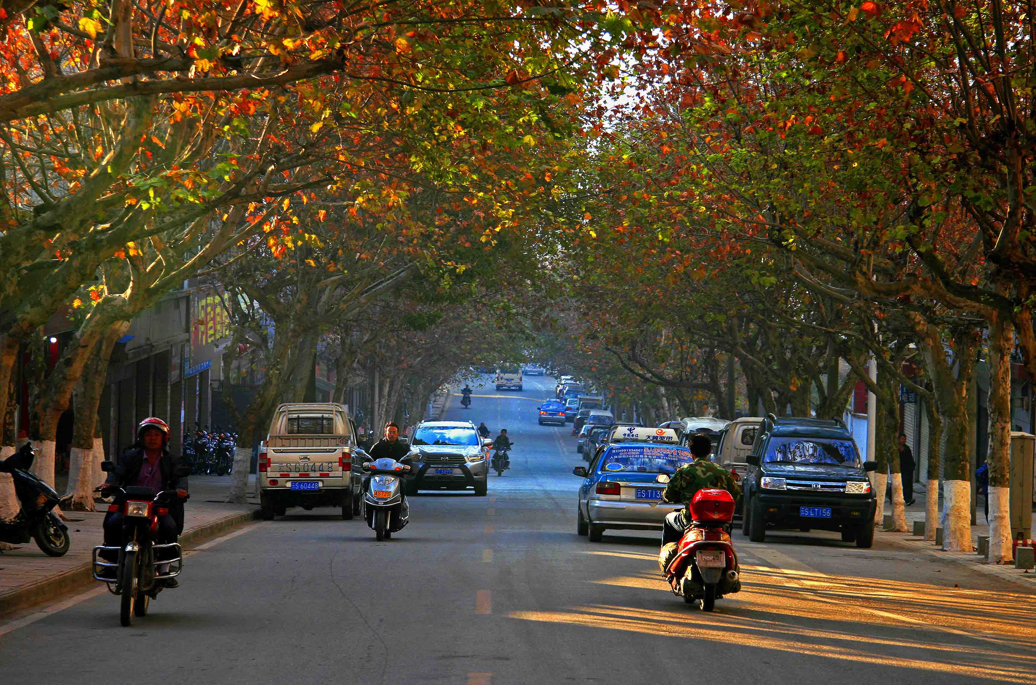 data-id="go1mz9bu9t">临沧市, a target="_blank" href="/item/云南