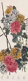 菊花草虫