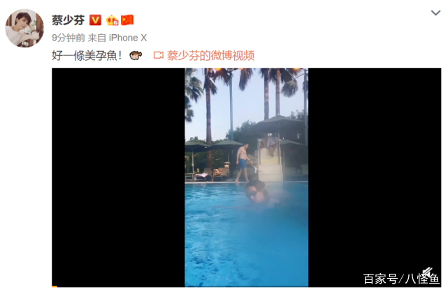 蔡少芬挺7个月大孕肚游泳 水下比v超开心 自称好一条美孕鱼 百科ta说