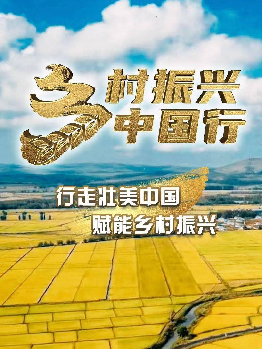 乡村振兴中国行