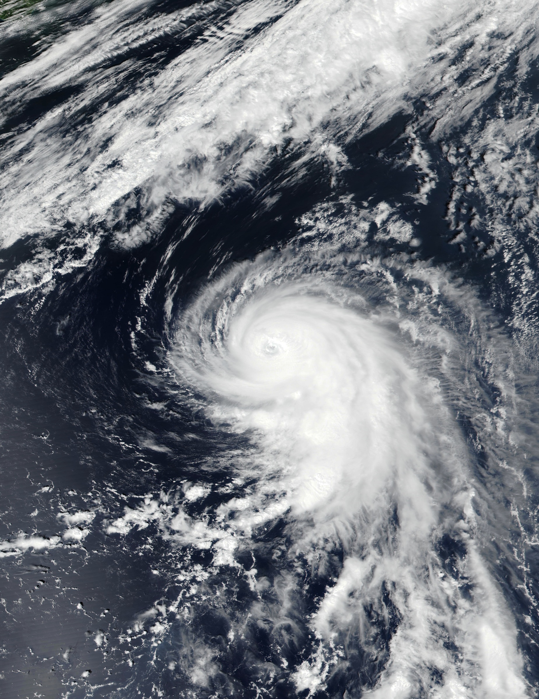 2022年太平洋台风季