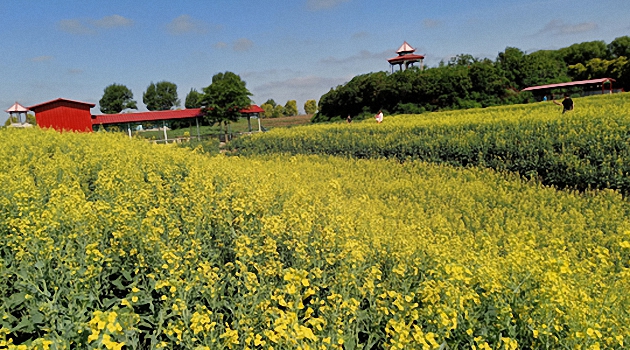 "739981">辽宁省 /a> a target="_blank" href="/item/沈阳市/124784"