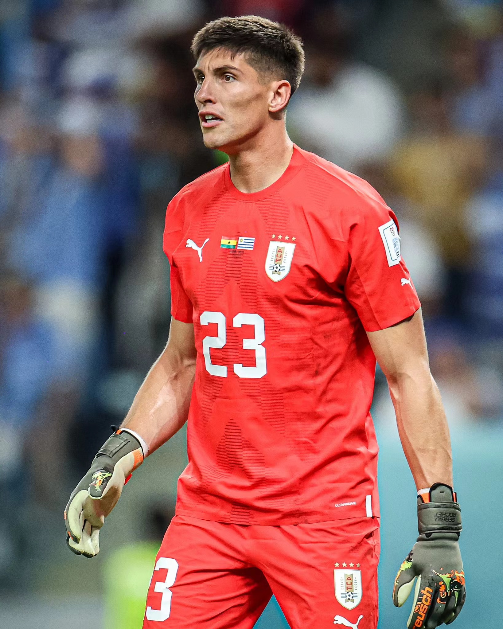 塞尔吉奥·罗切特