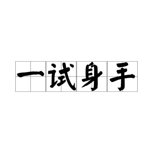 一试身手_百度百科