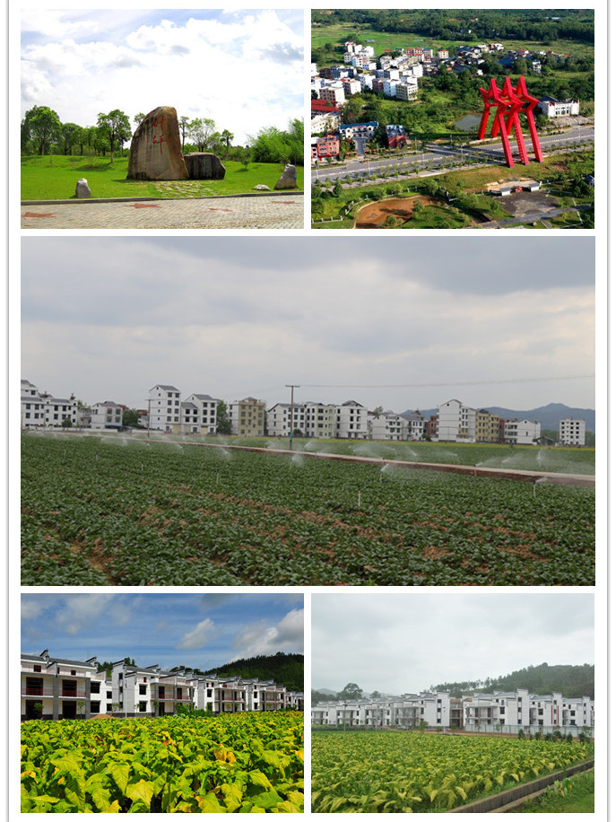  p>叶坪镇,江西省 a target="_blank" href="/item/瑞金市/560244"