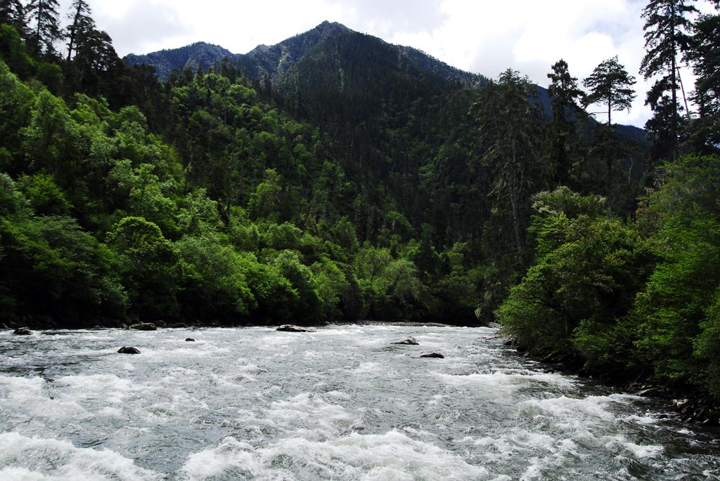  p>南碧沟组上段上部为绢云母板岩,千枚岩,白云母片岩和少量变质石英