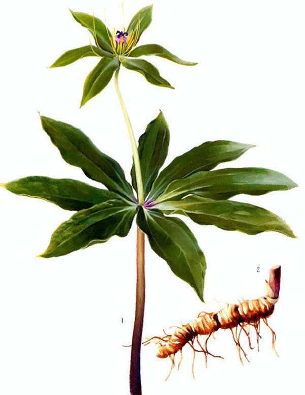  p>重楼,系列单机游戏《 a target="_blank" href="/item/仙剑奇侠传