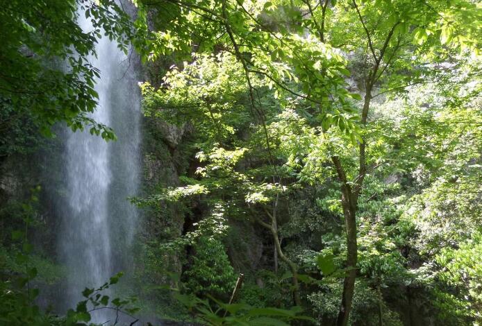  p data-id="gnvgkla6vl">百丈岩瀑布地处大别山腹地安菜山,舒城,桐城