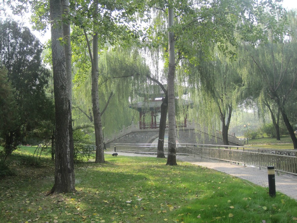 33万平方米,是一座以古典建筑和自然山水为特色的综合性公园,北京市一