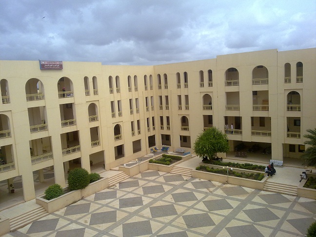 苏丹非洲国际大学