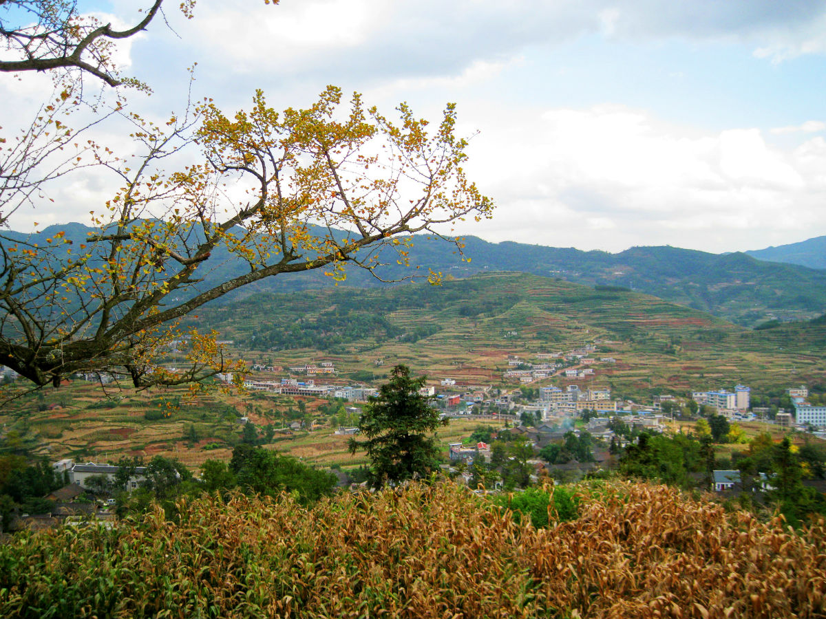  p>乐民镇(已撤销),隶属于贵州省六盘水盘州市,地处 a target="_blank