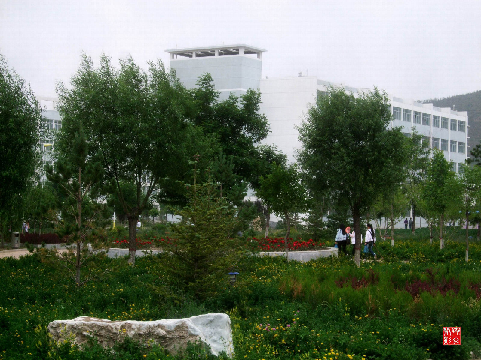 2016߿ɹŷһһβѯ_2013ɹŸ߿_ɹŴѧ