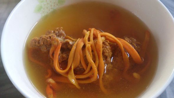 虫草红参汤