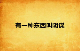 有一种东西叫阴谋