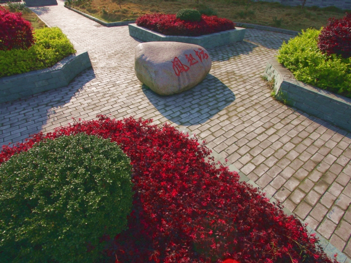 虹桥镇第一中学