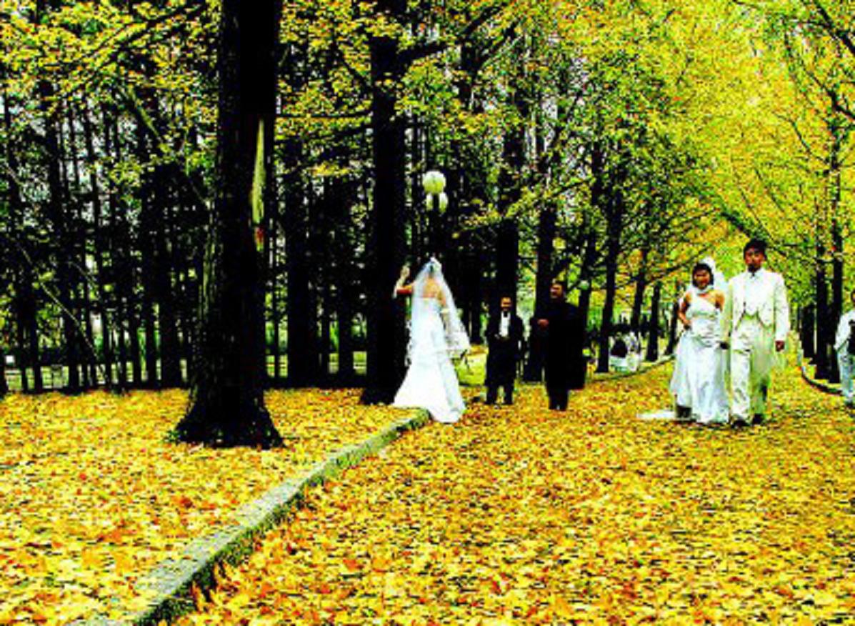  p>爱情角,坐落在风景秀丽的青岛信号山南麓,位于青岛八大关风景区内