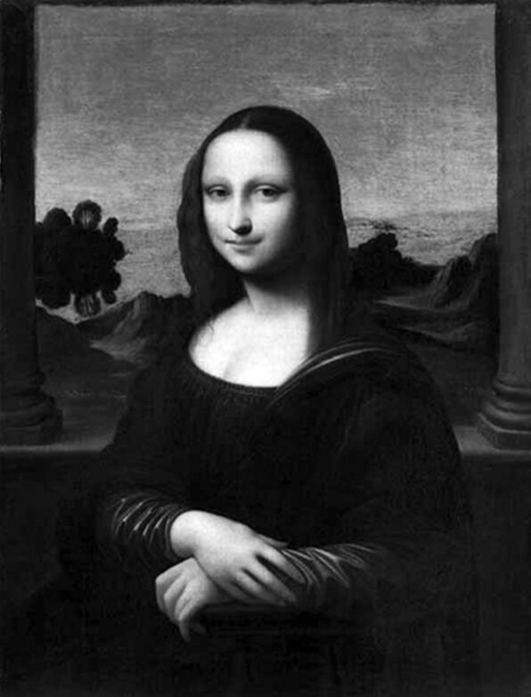 蒙娜丽莎