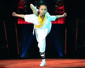柔拳（中国传统武术拳法）_百度百科
